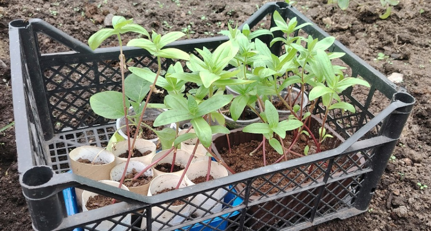    фото из архива редакции