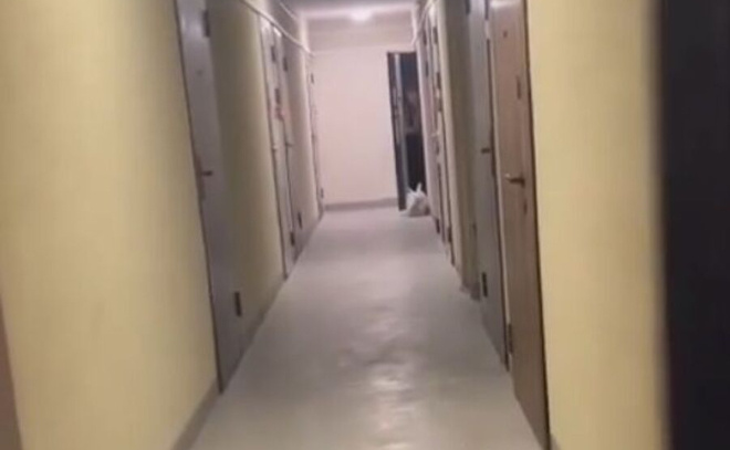    © Telegram-канал «Горячие новости Мурино I Девяткино»