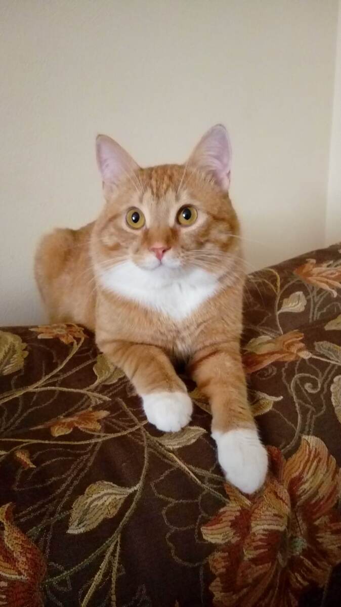 Василий собственной персоной