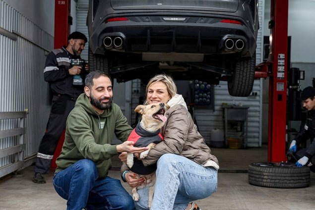 На Дону за взятого в семью пса автосервис Батайска делает бесплатный шиномонтаж