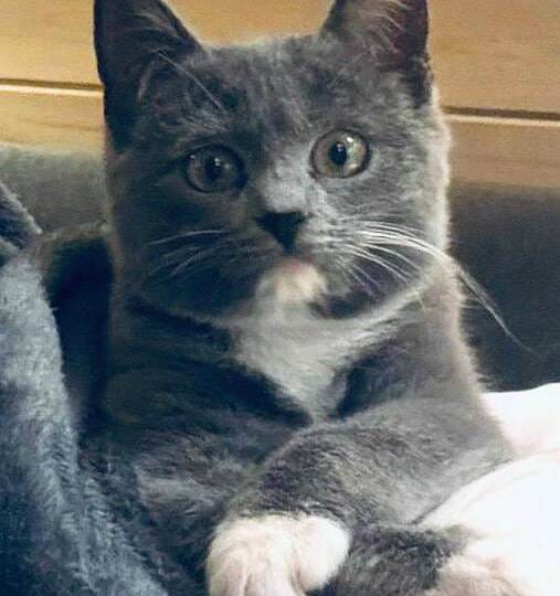 ❗ДОМА❗Маленькую Джесси хозяева бросили на даче