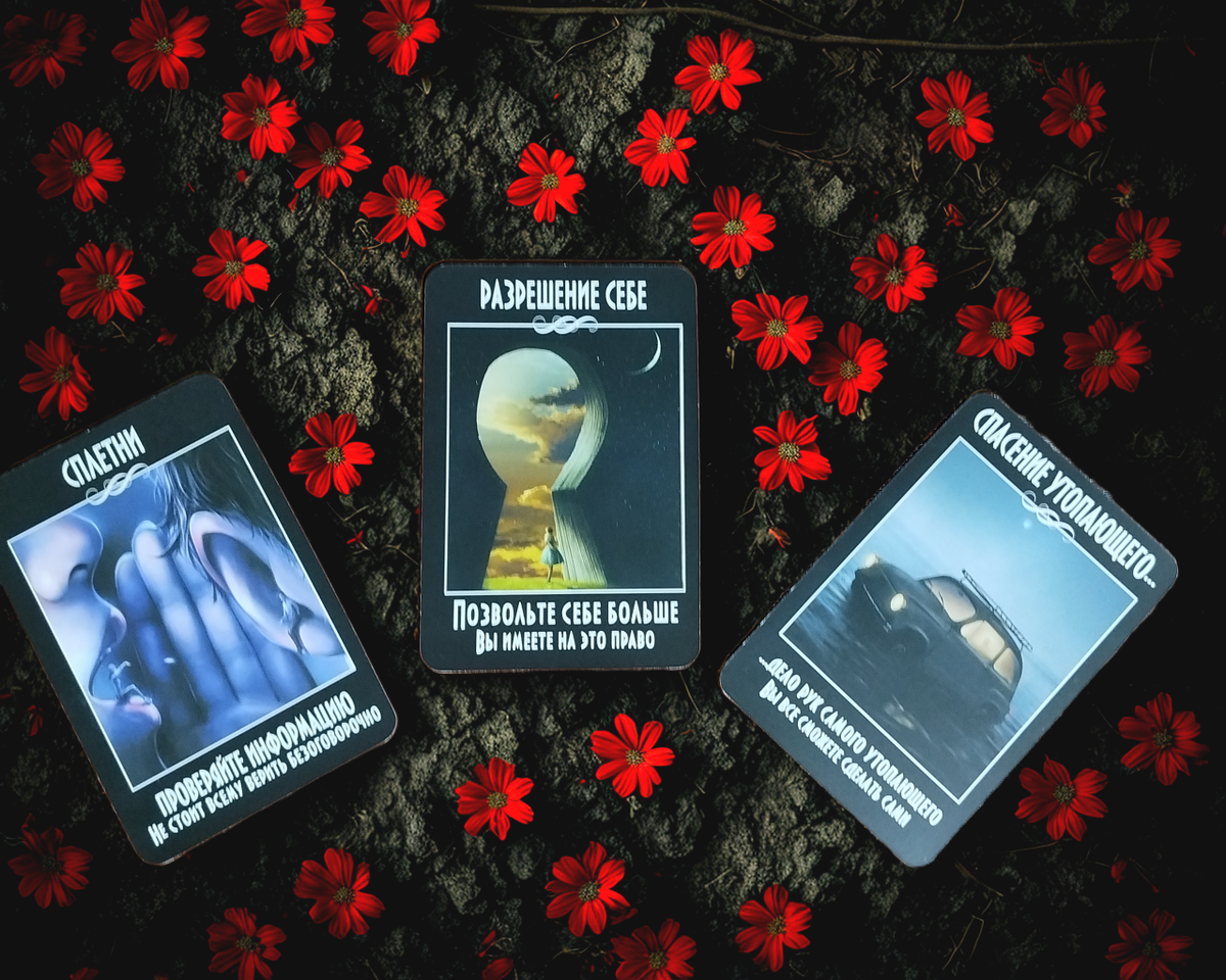 Выберите свою карту 🕊