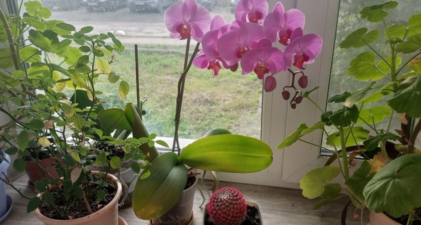    фото из архива редакции