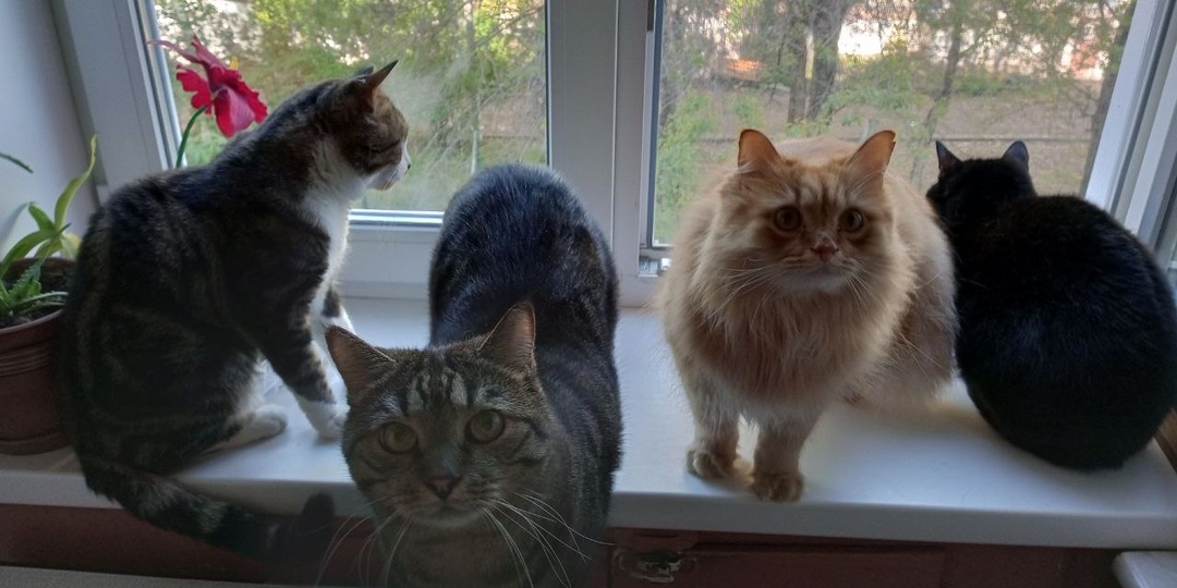 МОРСианские хроники (из собрания наших приключений)-4.