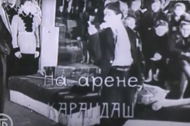    Фото: кадр видео