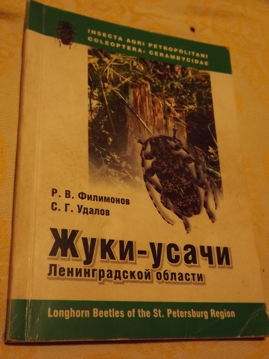 Обложка, издательство "Петроглиф"