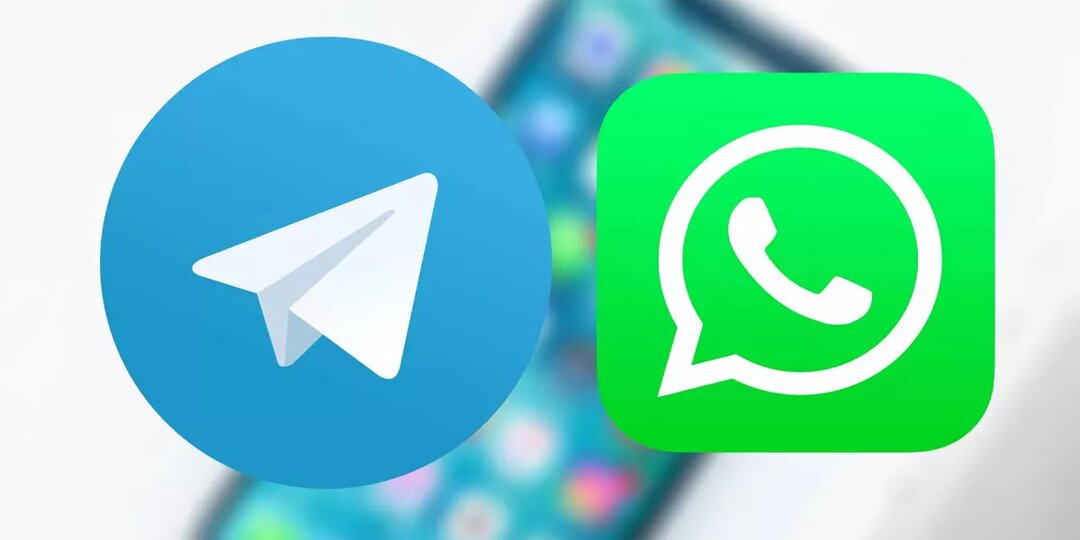 С 11 декабря: WhatsApp и Telegram ввели изменение для всех пользователей