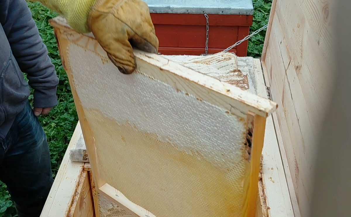 Не полномёдная рамка около 3 кг вес.