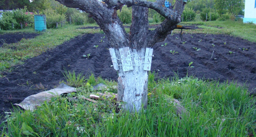    Фото Анастасии Дмитриевой