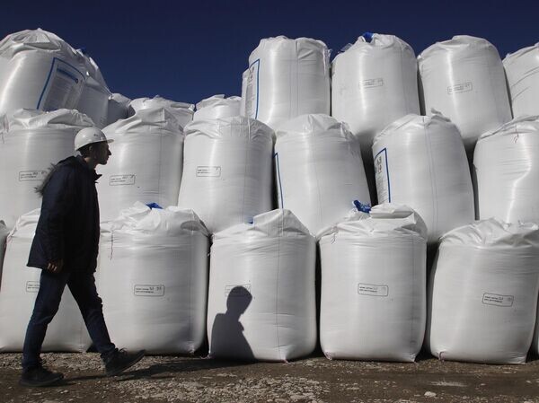    © РИА Новости Денис Абрамов