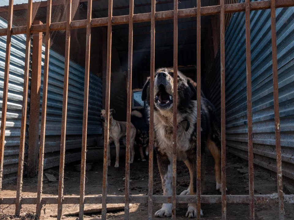 Тематическое фото: архив «МП»