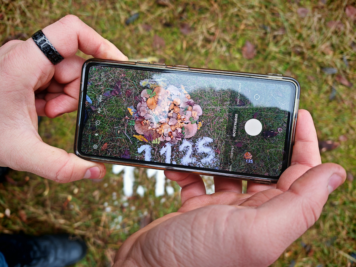 Фото Юлии Перовой. 01.01.25