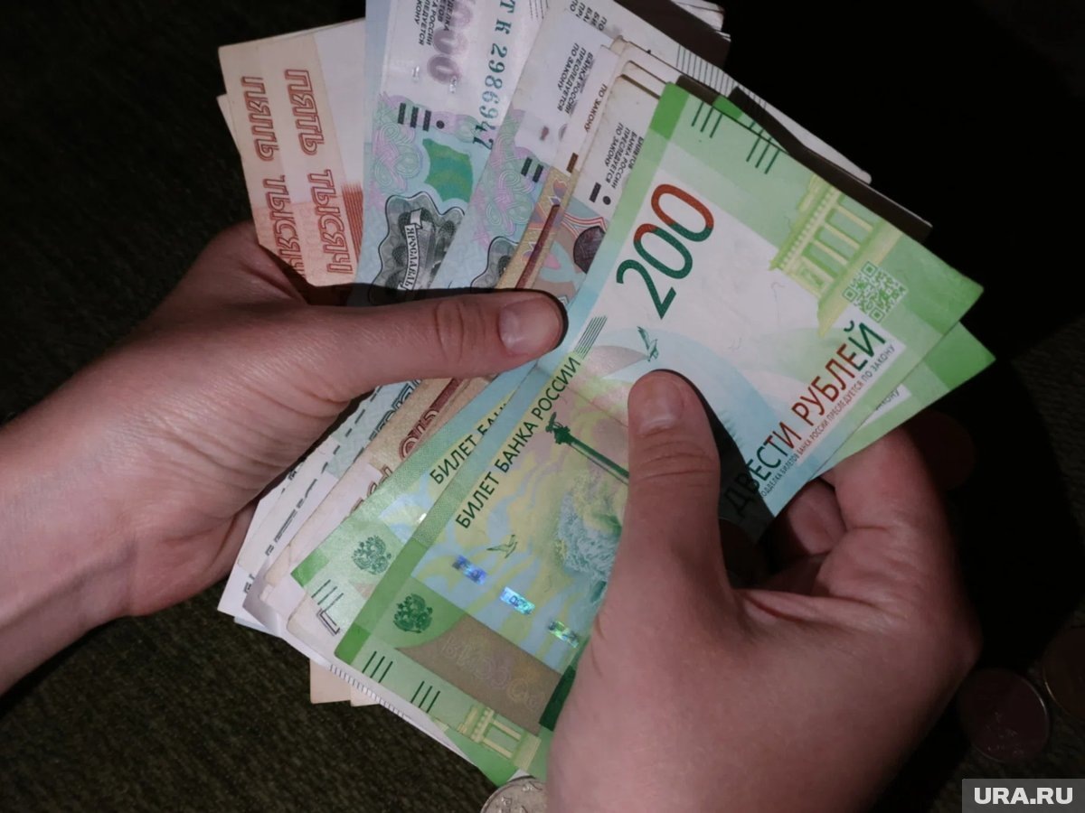     Более 70 процентов семей могут рассчитывать на рост доходов в 2026 году