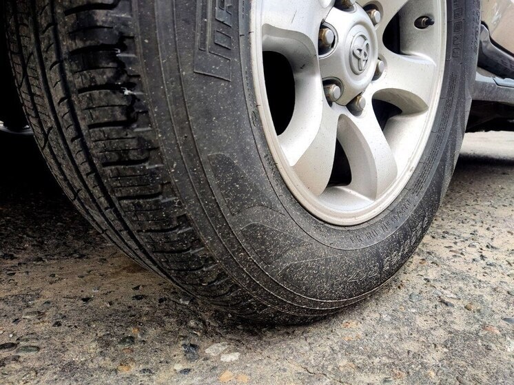     Фото: МК на Алтае/Инесса Гофштейн