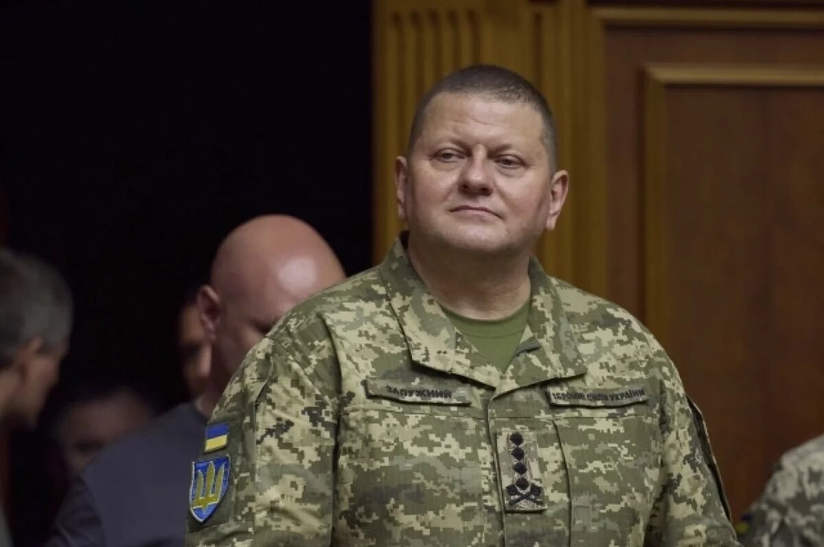    Олейник: Залужного на выборах будут продвигать британцы, Кличко - немцы