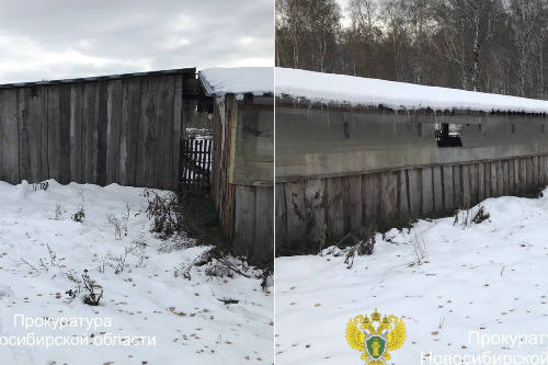    Фото: прокуратура НСО