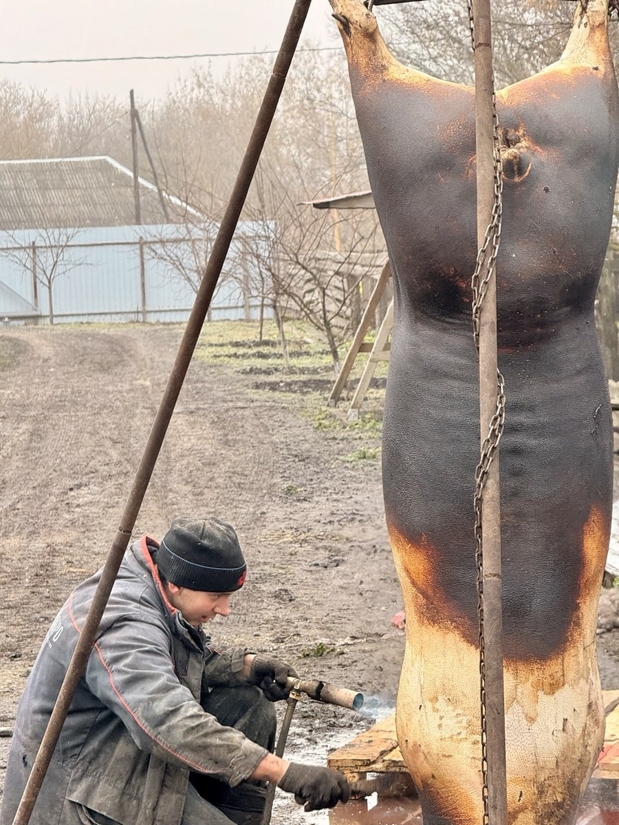 Тушка на 205 кг вытянула 