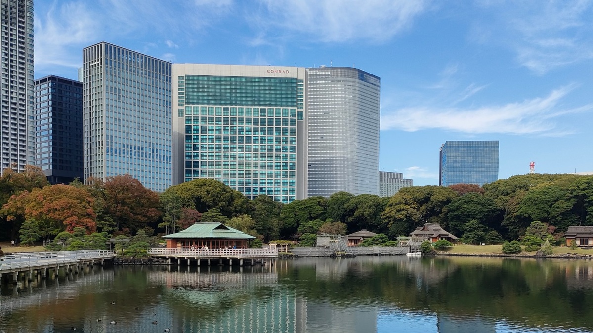 Фото автора. Тишина старого сада в обнимку с небоскрёбами XXI века.