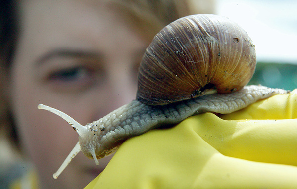 ИТАР-ТАСС/ Игорь Зарембо