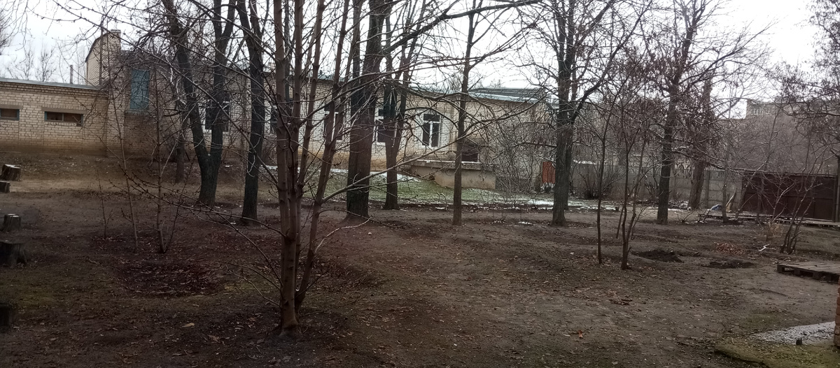 Камышин в тоже время