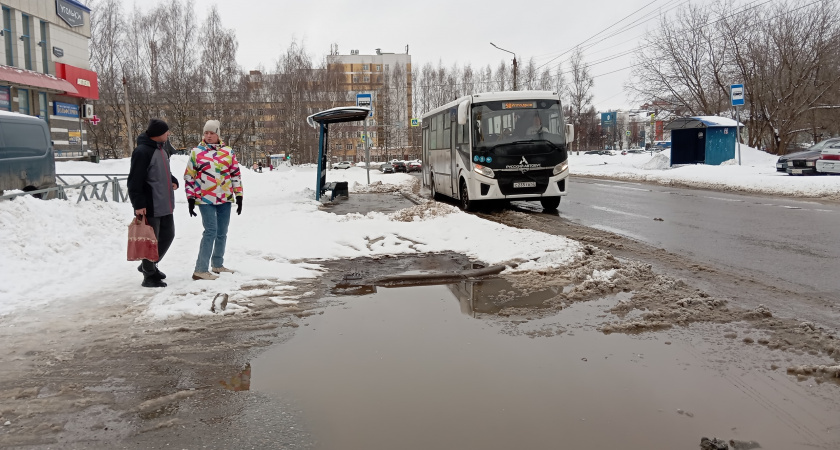    Фото volgogradru.com