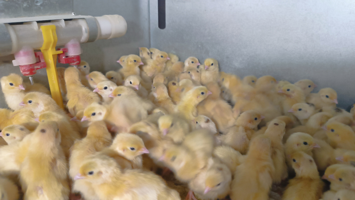 Вывод октября 2024 г.