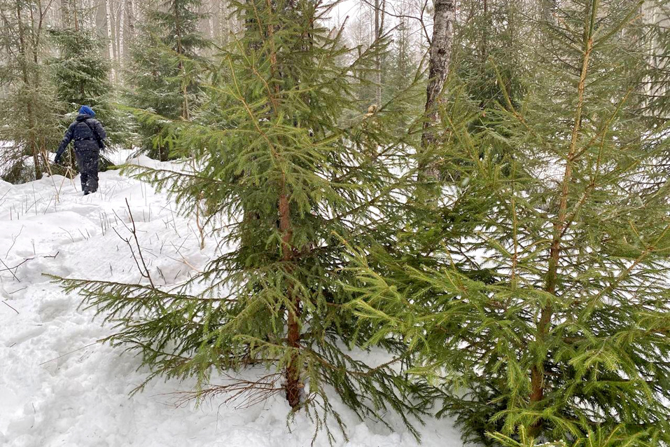    Фото: vk.com/mpr_nso