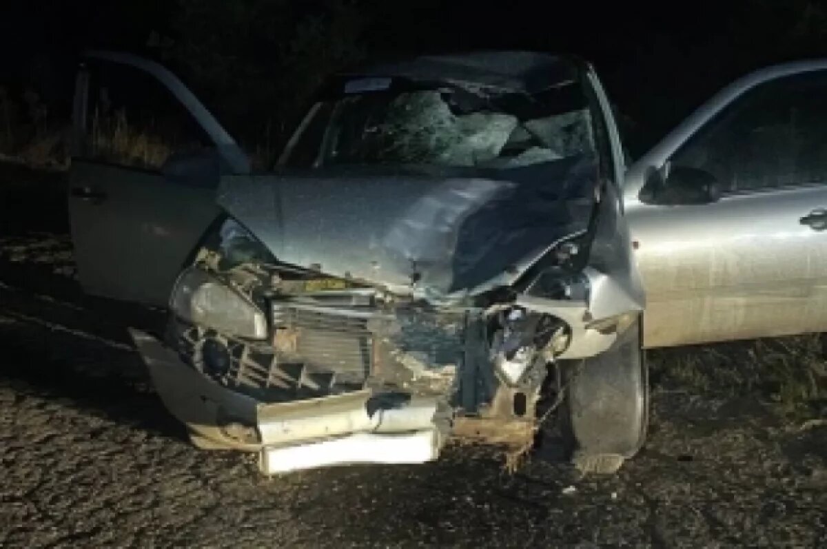    37-летний житель Кадомского района на «Ладе Калине» насмерть сбил двух пешеходов.