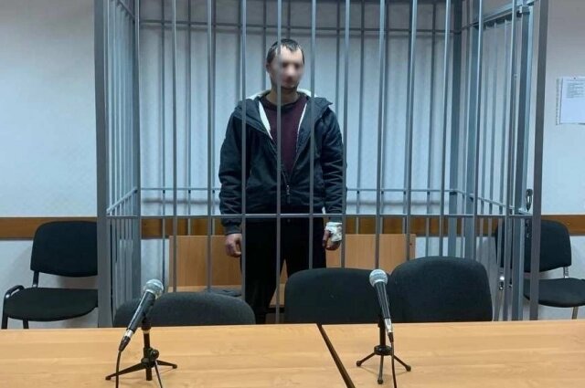    Водителя, по вине которого погибли два пешехода, отправила под арест. Фото: СУ СКР по Рязанской области