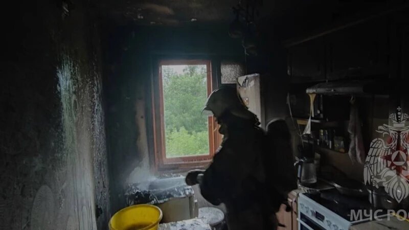     Пожар. Тушение пожара. Пожарные. МЧС. Спасатели. ГУ МЧС России по Алтайскому краю