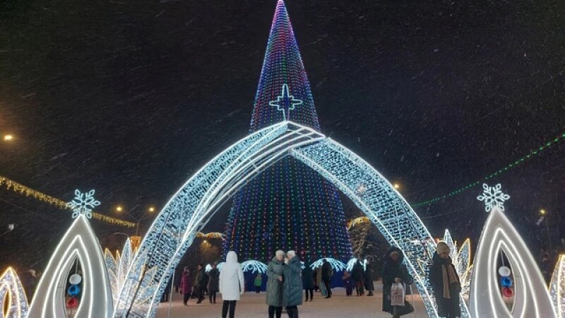     Открытие городской елки Анна Зайкова