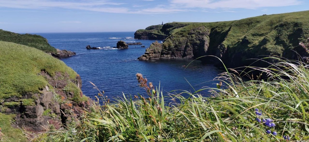 
Лайнер пройдет от Владивостока до Петропавловска-Камчатского / Фото: Оксана Степанова
