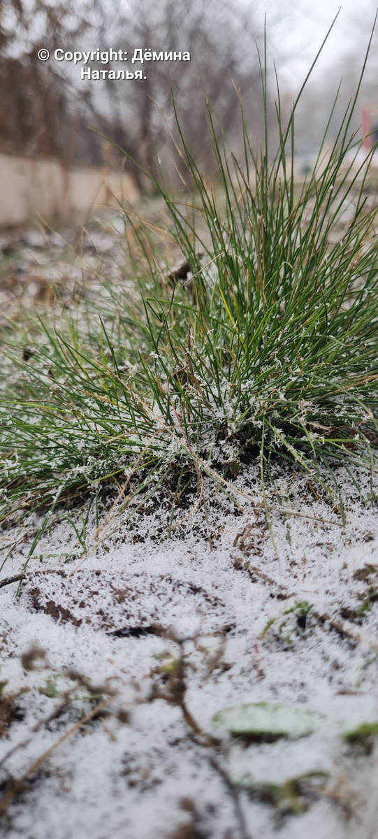 Из личного архива автора.