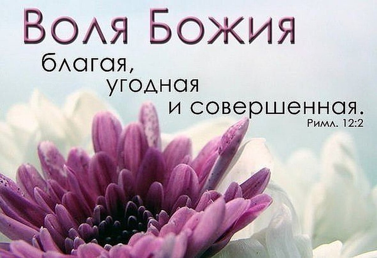 Из открытых источников Яндекса.