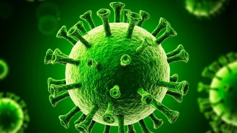     Вирус, простуда, заболевание. Altapress.ru/Шедеврум.