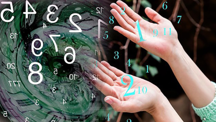 Социальный вычет 2025 - 2026