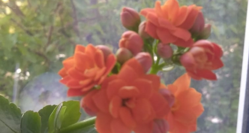    Фото irkutsk.news