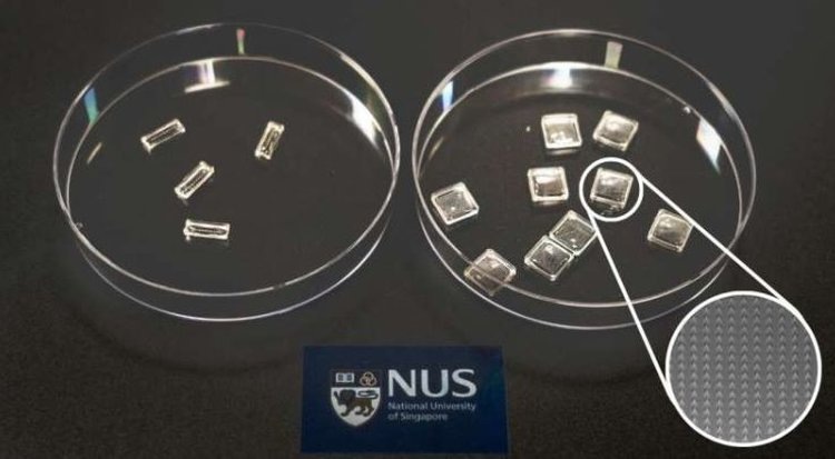 Микроигольчатые пластыри изготовлены из поливинилового спирта и пропитаны коктейлем ризобактерий, стимулирующих рост растений (PGPR), из Streptomyces и Agromyces-Bacillus. Микроигольчатый пластырь размером 1 см на 1 см (показан в чашке Петри справа) содержит ряд 40 на 40 пирамидок размером 140 мкм для нанесения на листья, а короткий ряд игл размером около 430 мкм (показан в чашке Петри слева) подходит для более толстых стеблей. Источник: Национальный университет Сингапура.📷    Концепция «микроигольчатого» биоудобрения начала свой путь в будущее роботизированного АПК
