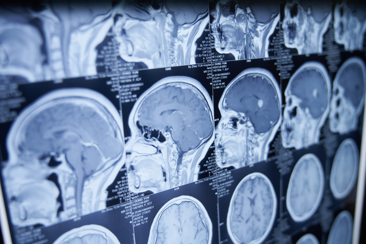    Фото: Лидия Аникина