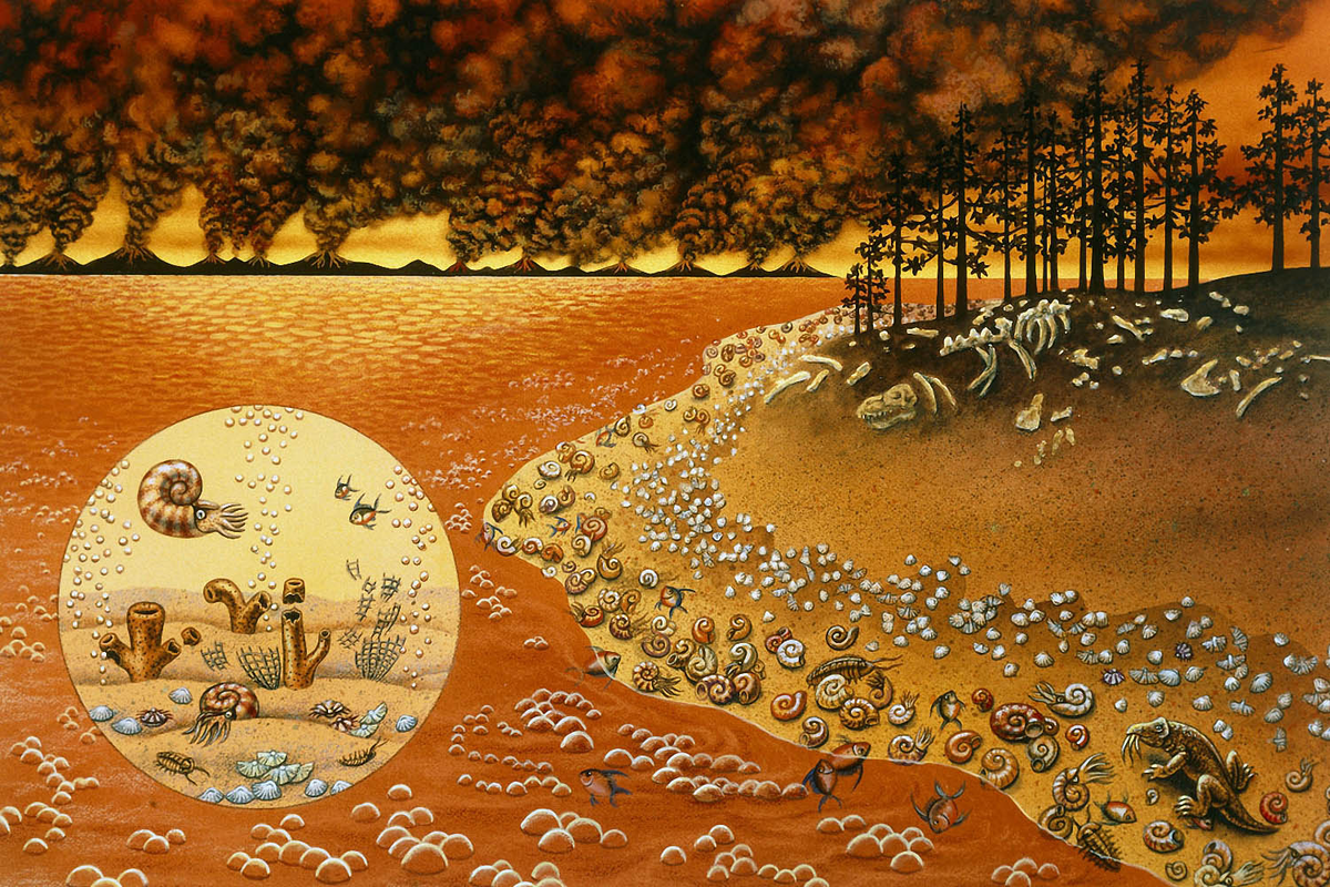 Считается, что после Массового пермского вымирания восстановление биосферы происходило крайне долго. 