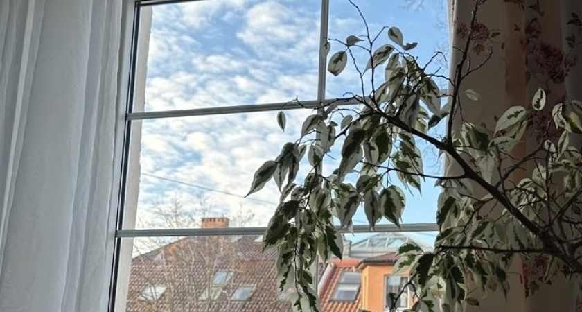    Фото Анастасии Дмитриевой