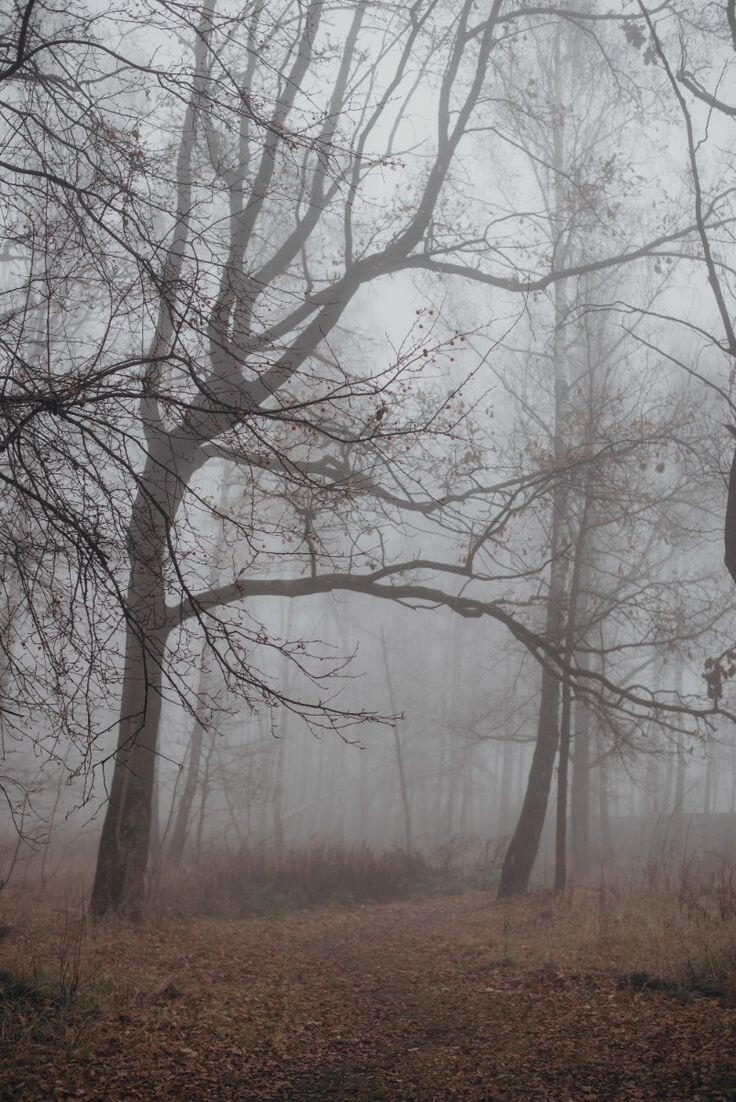 картинка из интернета