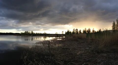 картинка из интернета