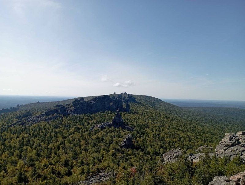    © Алёна Бронникова