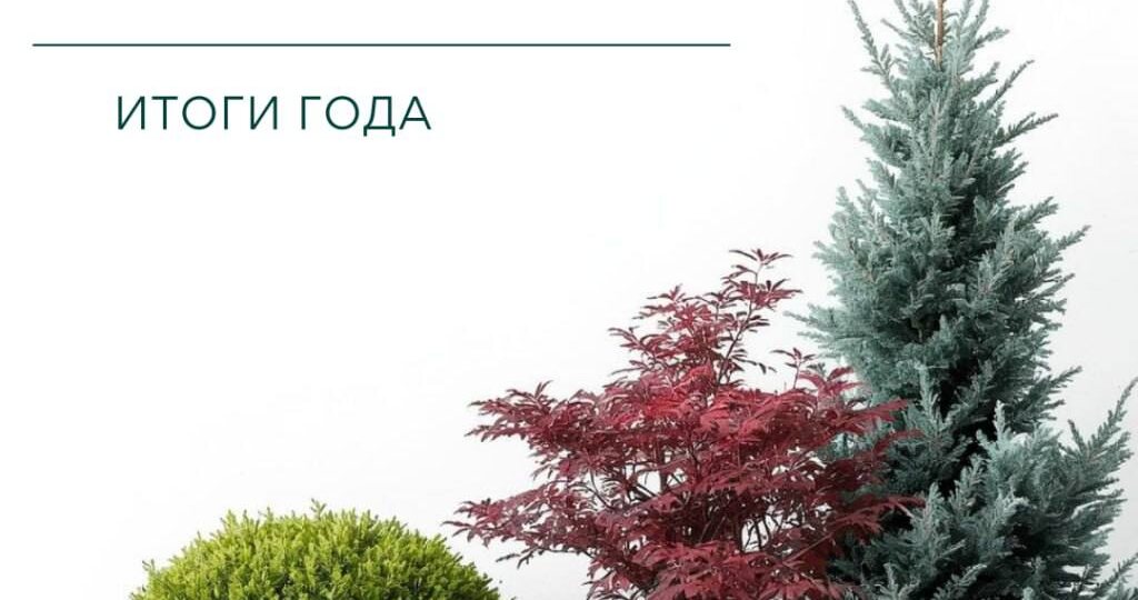 Итоги года: 3 самых популярных растения по версии Landscaper