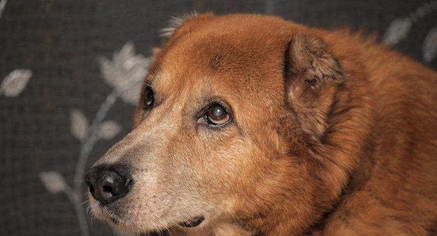    Анна Кривицкая / Фотобанк Лори