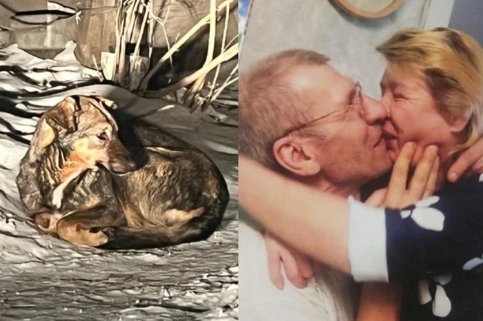 Фото: СУ СКР по Новосибирской области // Предоставлено Александром «КП-Новосибирск».