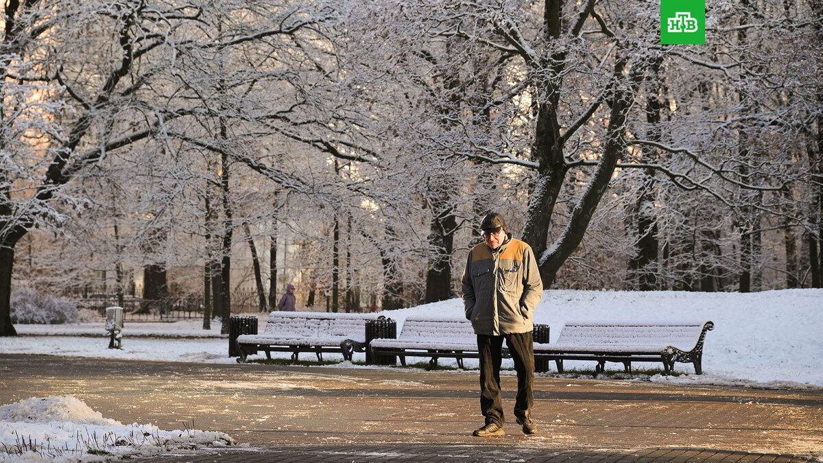    Фото: РИА Новости © 2025, Алексей Никольский