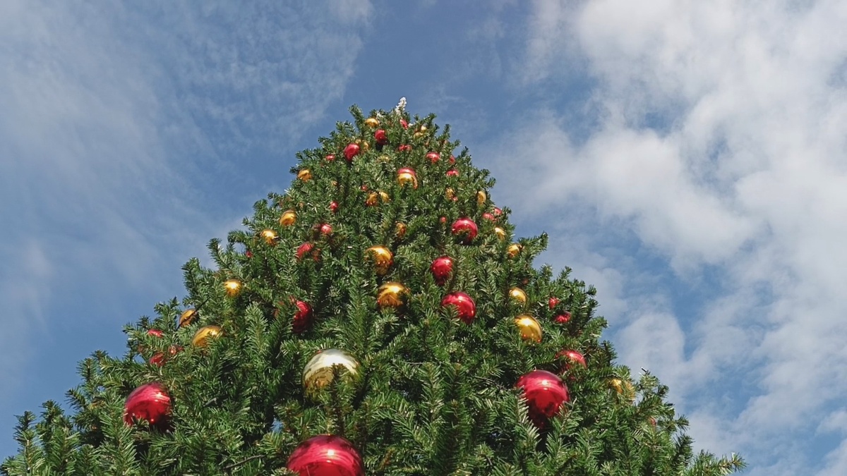 ФТ Сириус, Бульвар Надежд, ноябрь 2025 года