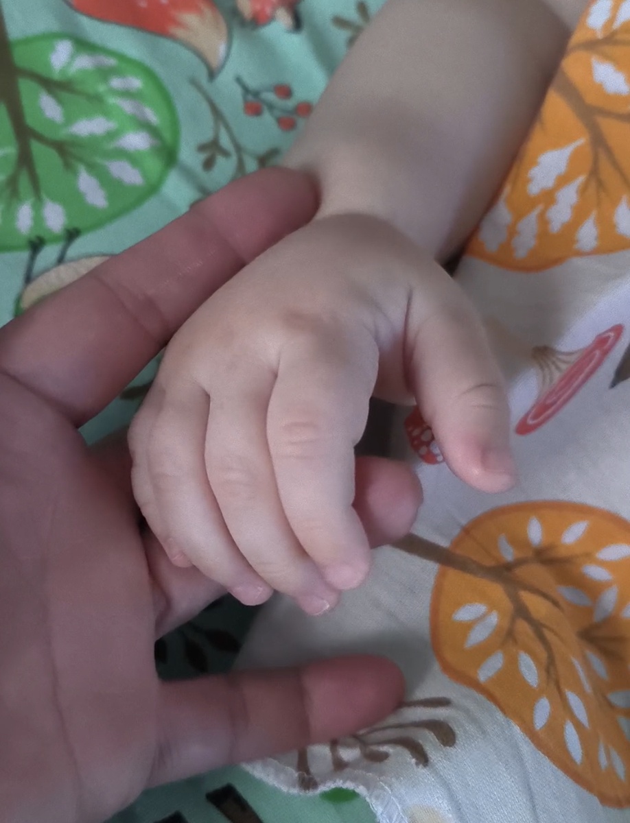 Фотографии в статье авторские 